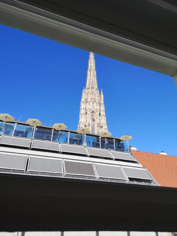 Apartament Elegance Viena